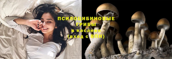 крисы Россошь