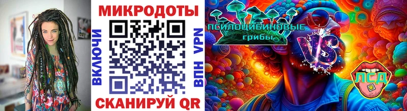 блэк спрут ссылка  купить наркотики сайты  Тогучин  Галлюциногенные грибы мицелий 