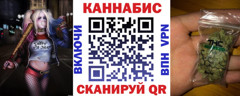 где найти   Тогучин  Канабис конопля 